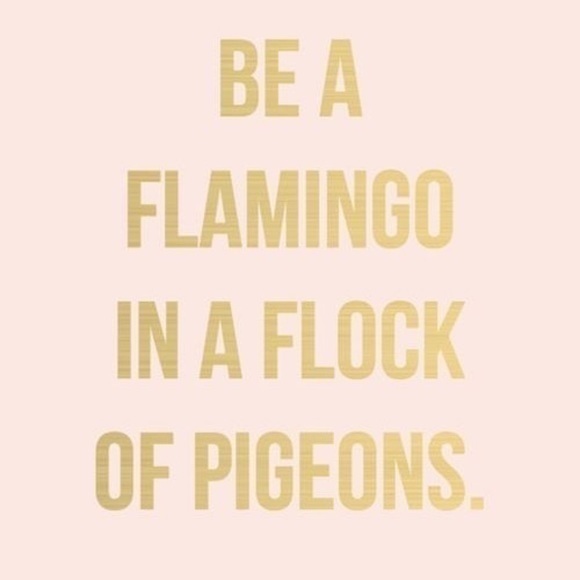 INSTAGRAM‎ - FASHIONABLY FRUGAL - Picture 2 of 8